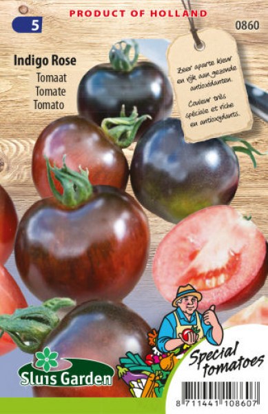 paradajky, rajciny, semena rajcin, rajcinove semena,