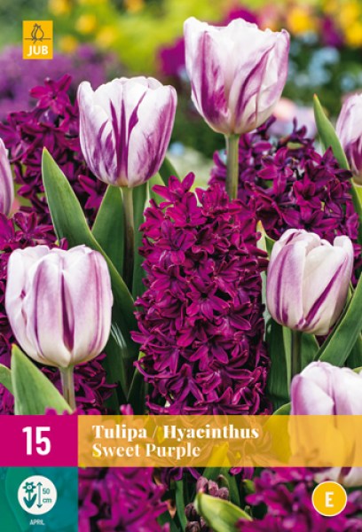 cibuloviny, tulipan, cibule kvetov, cibulky kvetov, cibulky tulipanov